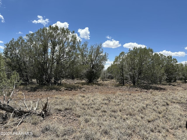 3590 W Hillcrest Dr, Williams, AZ 86046 - photo 1
