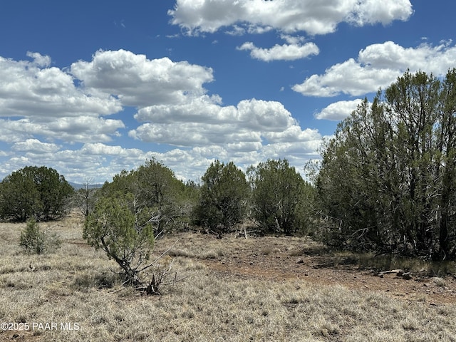3590 W Hillcrest Dr, Williams, AZ 86046 - photo 3