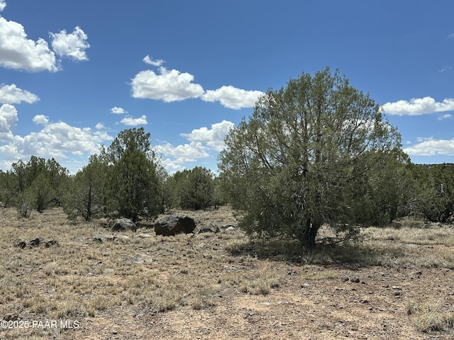 3590 W Hillcrest Dr, Williams, AZ 86046 - photo 2
