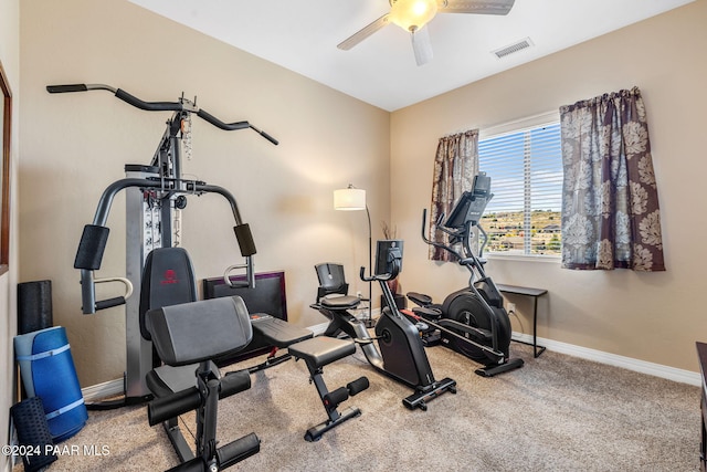 exercise area featuring carpet flooring and ceiling fan