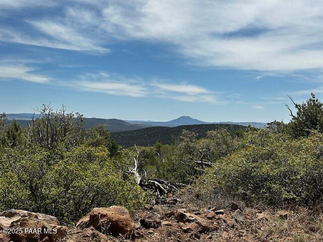 00 Shiloh Rd, Seligman, AZ 86337