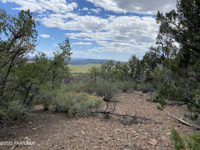 00 Shiloh Rd, Seligman, AZ 86337