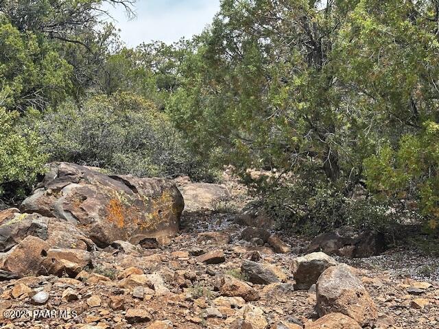 00 Shiloh Rd, Seligman, AZ 86337