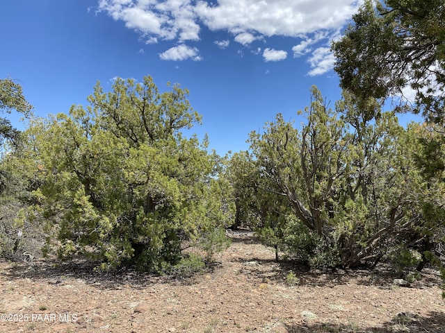 00 Shiloh Rd, Seligman, AZ 86337