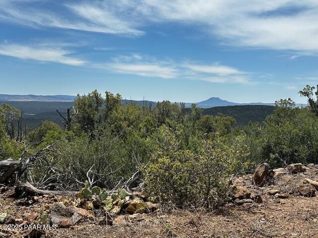 00 Shiloh Rd, Seligman, AZ 86337