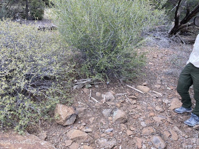 00 Shiloh Rd, Seligman, AZ 86337