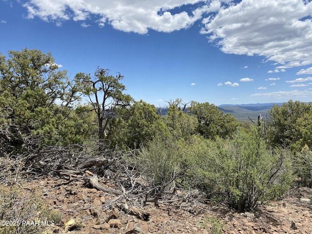 00 Shiloh Rd, Seligman, AZ 86337