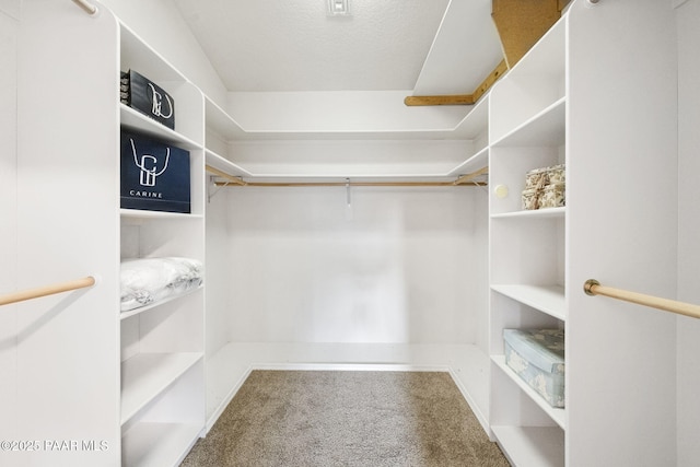 walk in closet featuring carpet flooring