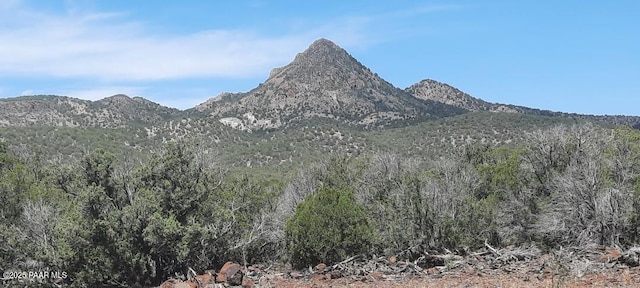 11200 Six Shooter Trl, Williams, AZ 86046