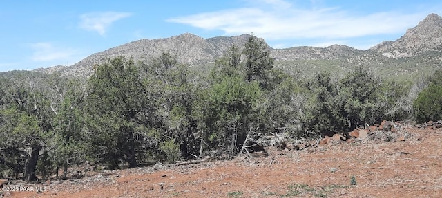 11200 Six Shooter Trl, Williams, AZ 86046