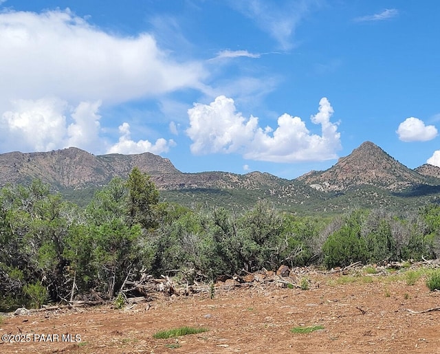 11200 Six Shooter Trl, Williams, AZ 86046