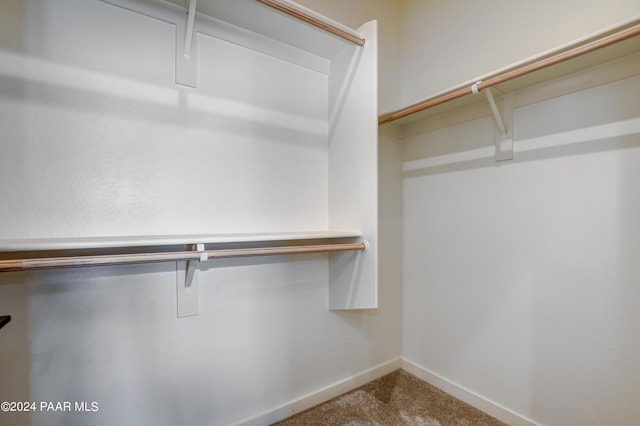 spacious closet featuring carpet flooring