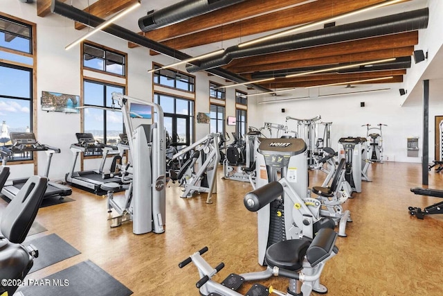 exercise room featuring a high ceiling