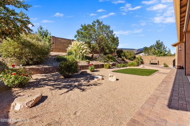 view of yard with a patio area