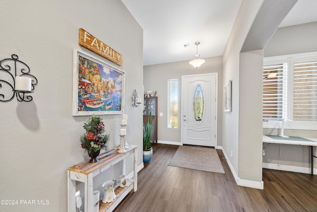 foyer featuring a wealth of natural light and dark wood-type flooring