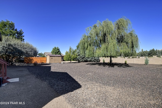 view of yard with a storage shed