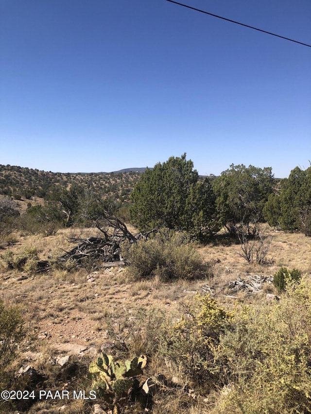 29605 W Rock Ridge Rd, Seligman, AZ 86337 - photo 9