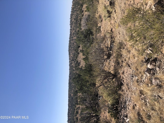 29605 W Rock Ridge Rd, Seligman, AZ 86337 - photo 8