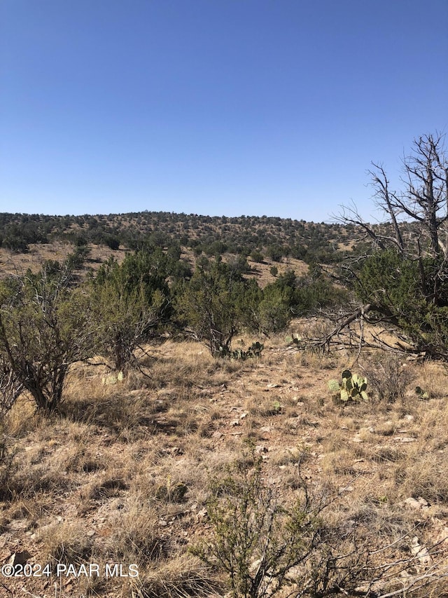 29605 W Rock Ridge Rd, Seligman, AZ 86337 - photo 5