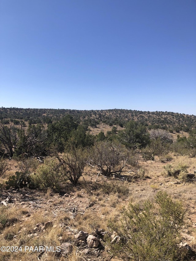 29605 W Rock Ridge Rd, Seligman, AZ 86337 - photo 10