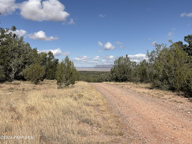 view of street with a rural view