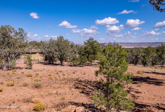 view of local wilderness with a rural view