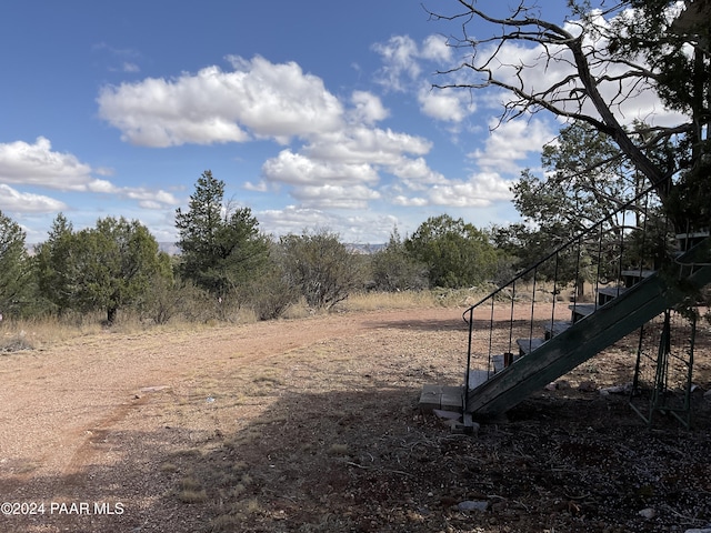 view of local wilderness