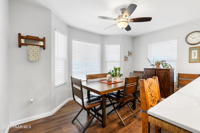 dining room with ceiling fan, a wealth of natural light, and dark hardwood / wood-style floors