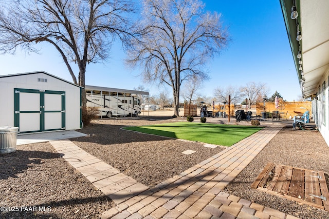 view of yard with a patio area and a storage unit