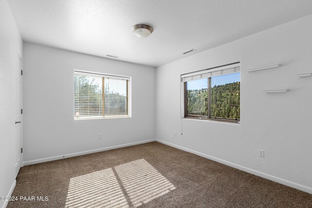 720 E Sky Terrace Dr, Prescott, AZ 86303 - unfurnished room with baseboards, visible vents, carpet flooring, and a wealth of natural light