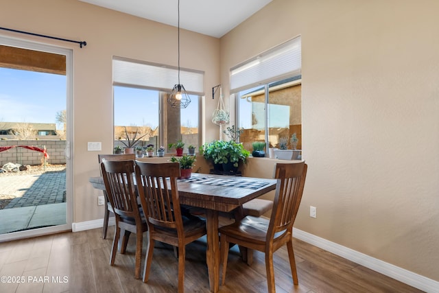 dining area with hardwood / wood-style floors