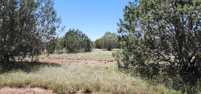 LOT363 Big View Trl, Ash Fork, AZ 86320 - photo 5