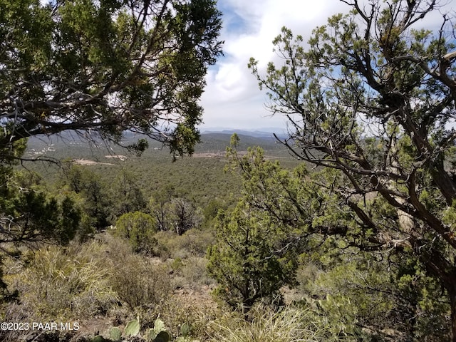 Listing photo 2 for LOT363 Big View Trl, Ash Fork AZ 86320