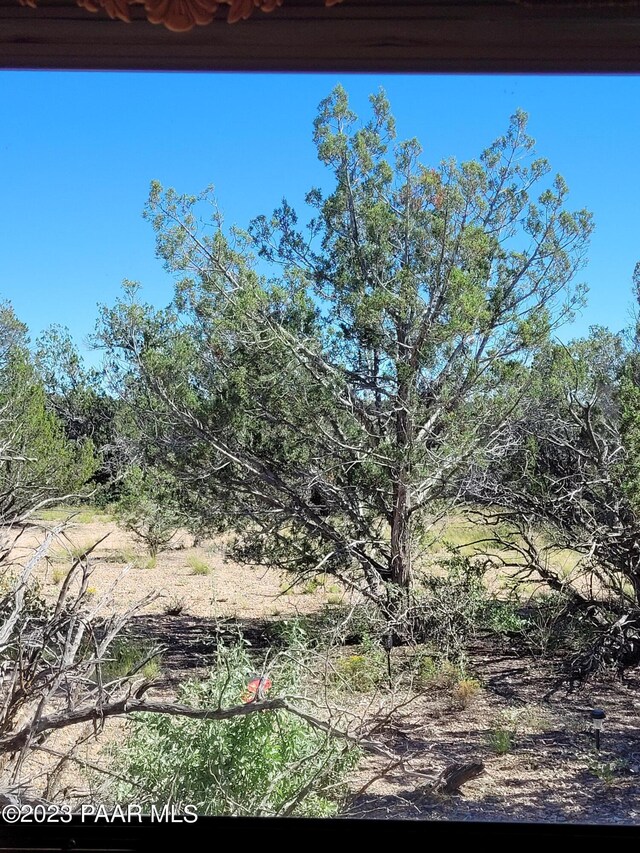 LOT363 Big View Trl, Ash Fork, AZ 86320 - photo 3