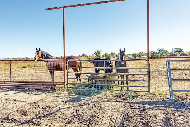 1245 N Windmill Way, Chino Valley, AZ 86323 - view of yard with a view of rural / pastoral area and an exterior structure