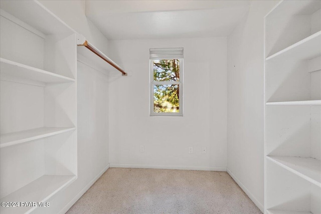 spacious closet with light colored carpet