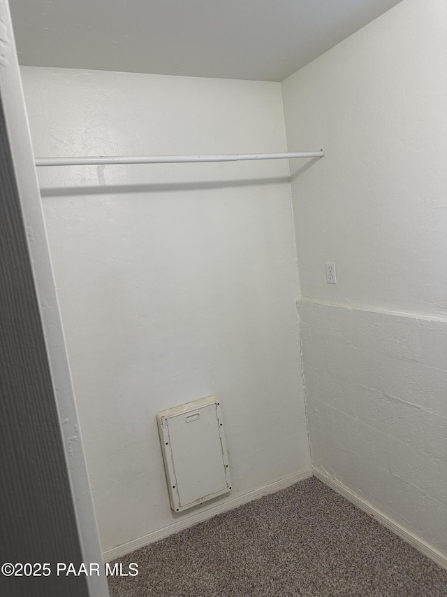 laundry room featuring carpet flooring