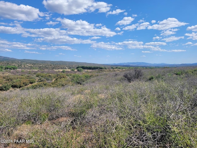 1365 S Iron Springs Rd, Skull Valley, AZ 86338 - photo 10