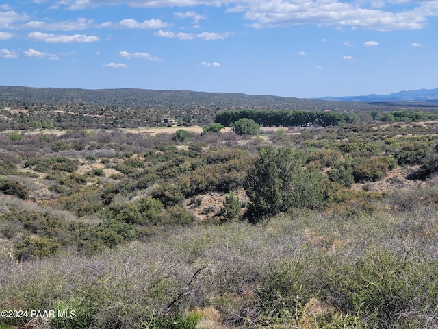 1365 S Iron Springs Rd, Skull Valley, AZ 86338 - photo 9