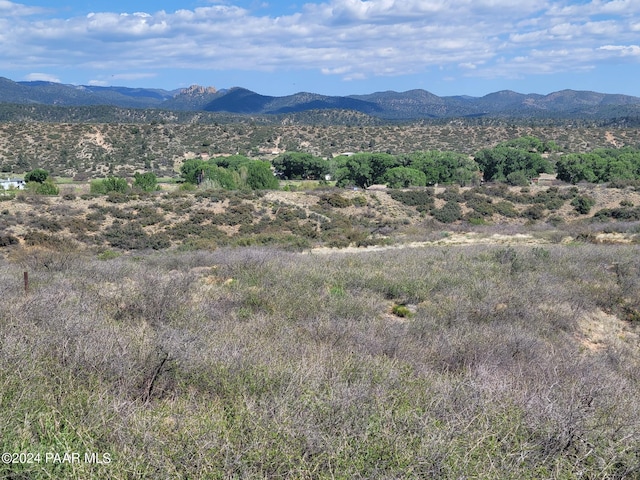 1365 S Iron Springs Rd, Skull Valley, AZ 86338 - photo 4