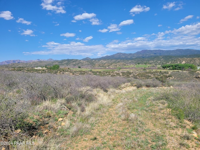 1365 S Iron Springs Rd, Skull Valley, AZ 86338 - photo 2