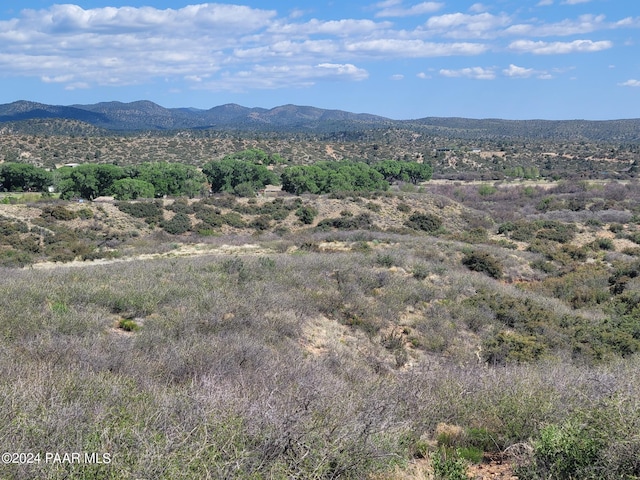 1365 S Iron Springs Rd, Skull Valley, AZ 86338 - photo 5