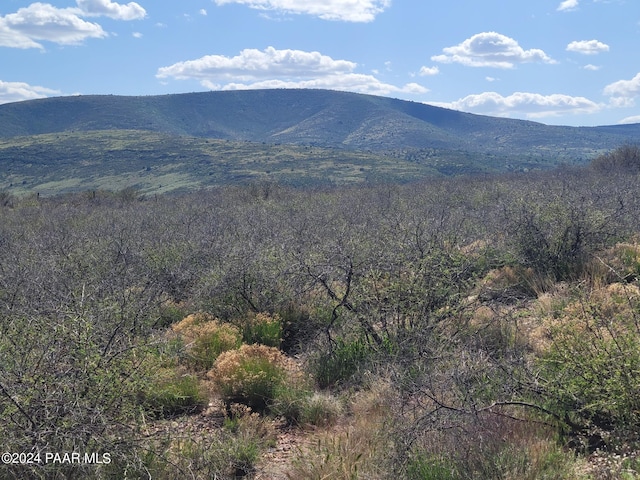 1365 S Iron Springs Rd, Skull Valley, AZ 86338 - photo 6