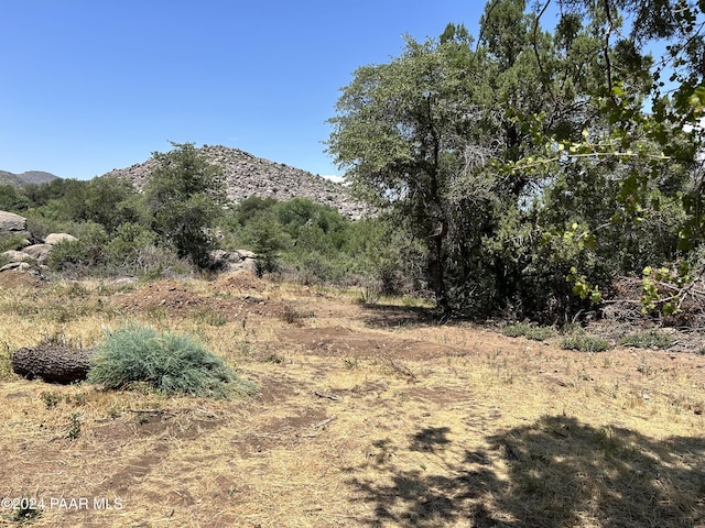 view of mountain feature