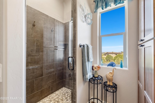 bathroom with a shower stall