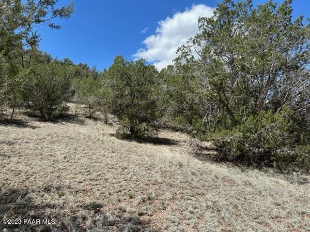 Listing photo 3 for 32727 Bucks Rd, Seligman AZ 86337