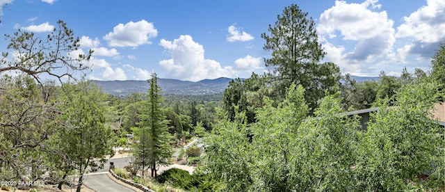 2009 Rocky Dells Dr, Prescott, AZ 86303 - view of mountain background