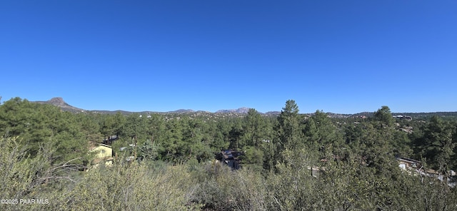 221 Hidden Dr, Prescott, AZ 86303 - photo 4