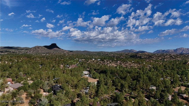 221 Hidden Dr, Prescott, AZ 86303 - photo 8