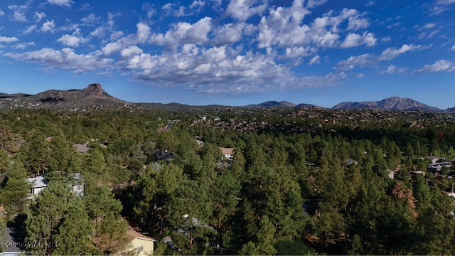 221 Hidden Dr, Prescott, AZ 86303 - photo 6